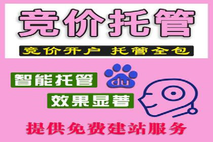 sem竞价代运营策略：如何实现ROI最大化